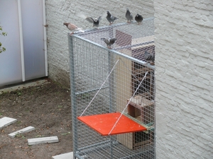 29sept09 012
