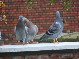 29sept09 019