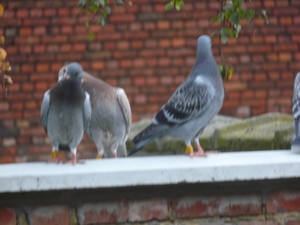 29sept09 020