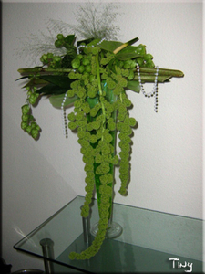 polegonium