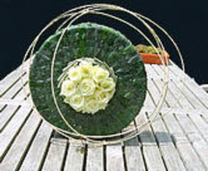blad met pitriet