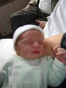 Ons nieuw lid van de familie Emma 19/08/2008