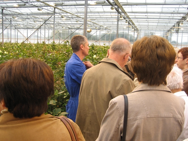 Bedrijvenbezoek Rozenkweker Claus-De Vondelmolen 01 10 09 008