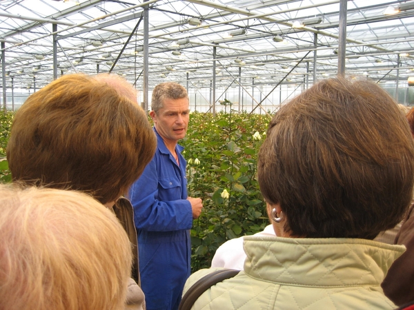Bedrijvenbezoek Rozenkweker Claus-De Vondelmolen 01 10 09 010