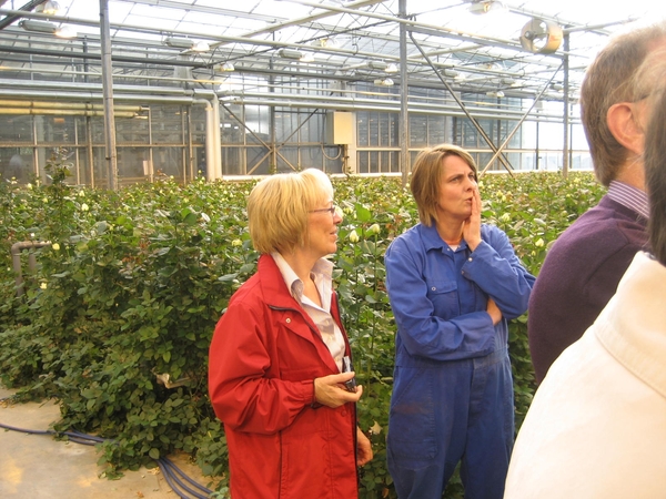 Bedrijvenbezoek Rozenkweker Claus-De Vondelmolen 01 10 09 011