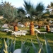 CIMG0961