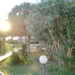CIMG0958