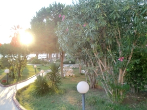 CIMG0958