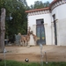 giraffen