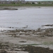 DSCN2544