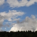 Jana 184