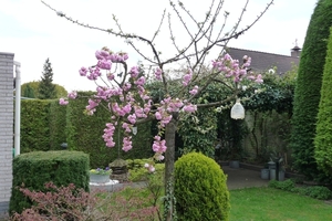 vakantie elspeet 2009 002