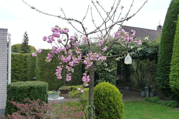 vakantie elspeet 2009 002