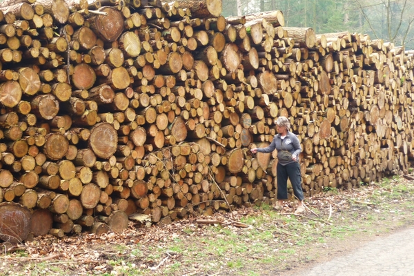 vakantie elspeet 2009 015