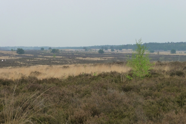 vakantie elspeet 2009 018