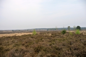 vakantie elspeet 2009 019