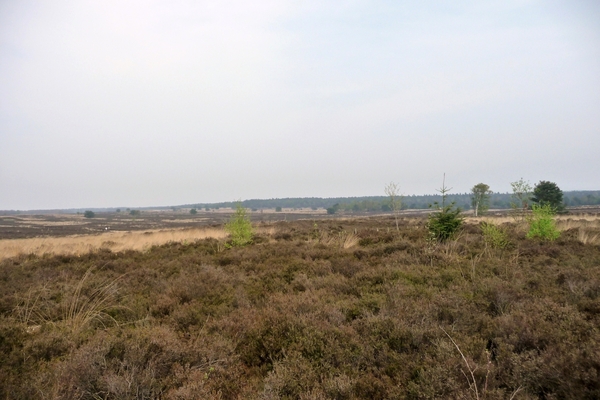 vakantie elspeet 2009 019