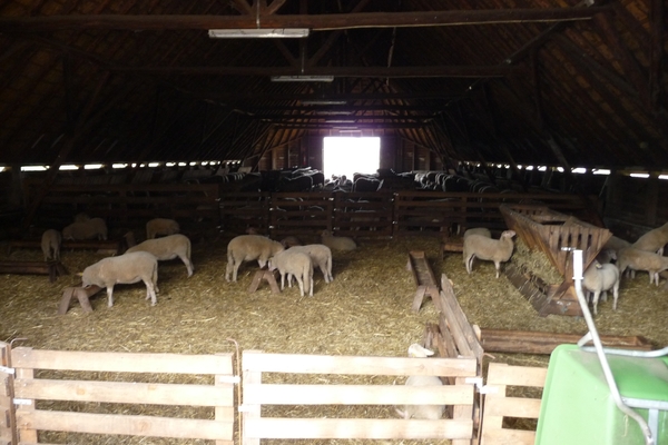 vakantie elspeet 2009 024