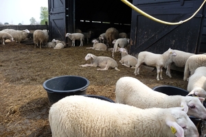 vakantie elspeet 2009 025