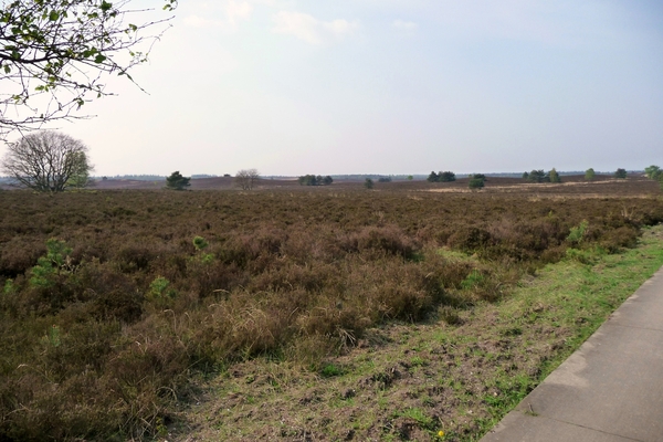 vakantie elspeet 2009 041