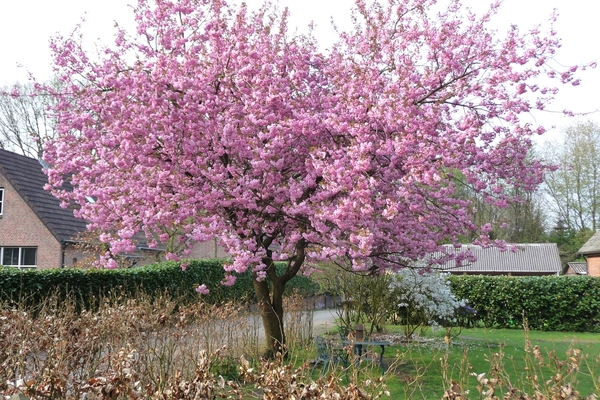 vakantie elspeet 2009 046