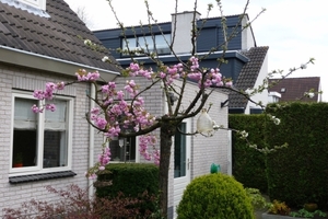 vakantie elspeet 2009 001