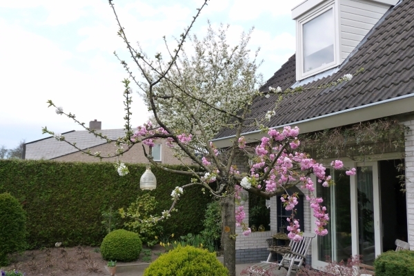 vakantie elspeet 2009 003