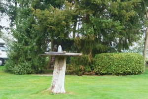 vakantie elspeet 2009 009