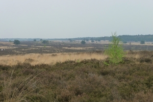 vakantie elspeet 2009 018