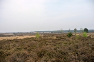 vakantie elspeet 2009 019