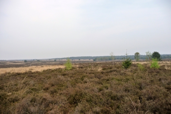 vakantie elspeet 2009 019