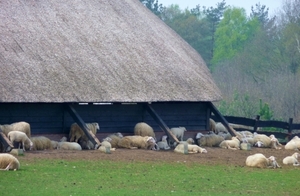 vakantie elspeet 2009 023