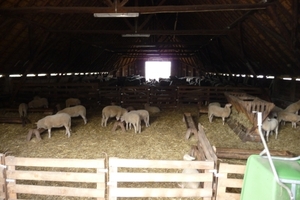 vakantie elspeet 2009 024