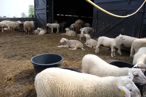 vakantie elspeet 2009 025