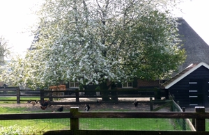 vakantie elspeet 2009 028