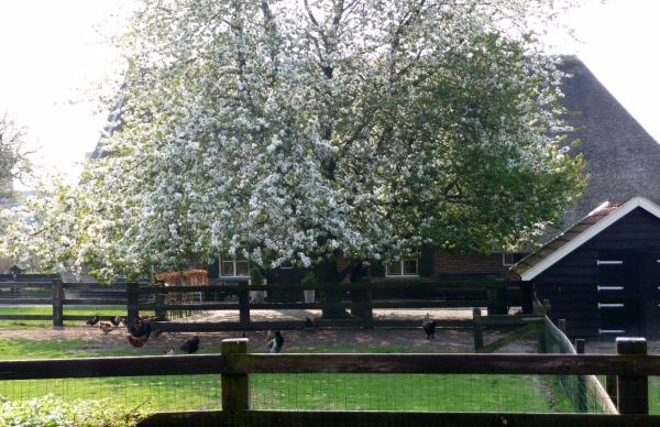 vakantie elspeet 2009 028