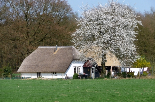 vakantie elspeet 2009 038