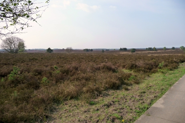 vakantie elspeet 2009 041