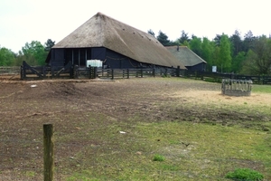 vakantie elspeet 2009 051