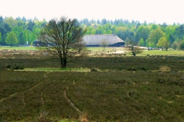 vakantie elspeet 2009 055