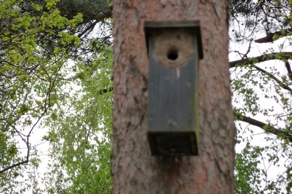 vakantie elspeet 2009 059