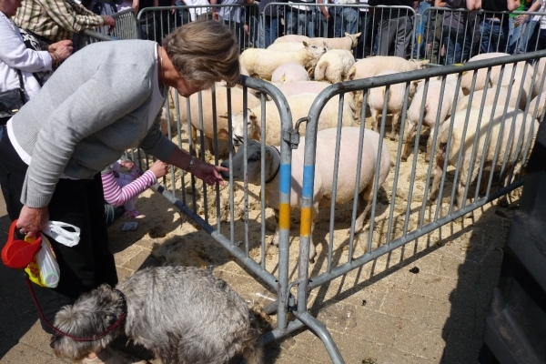 vakantie elspeet 2009 067