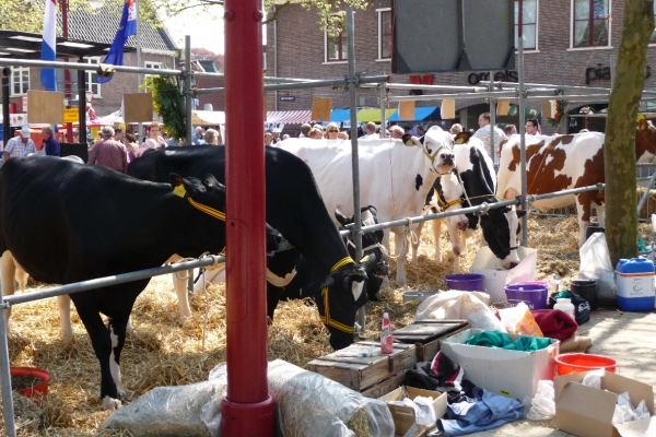 vakantie elspeet 2009 069