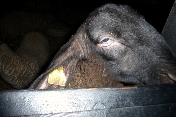 vakantie elspeet 2009 077