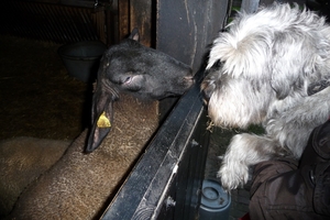 vakantie elspeet 2009 079