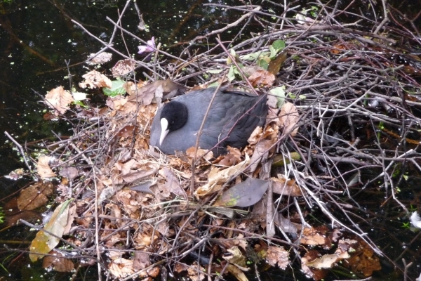 vakantie Kjikduin 2009 009