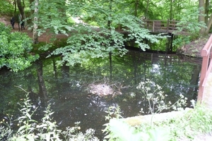 vakantie Kjikduin 2009 010