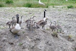 vakantie Kjikduin 2009 012