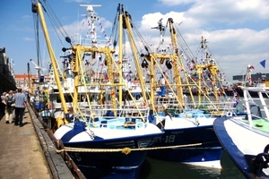 vakantie Kjikduin 2009 058