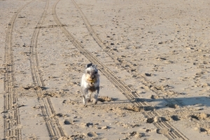 vakantie Kjikduin 2009 086